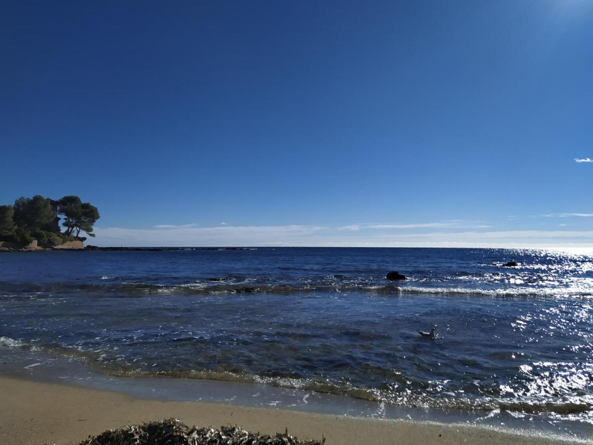 Studio Paradise Entre Mer Et Pins Saint-Raphaël Dış mekan fotoğraf